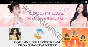 Cool-in live livestream thỏa thân tại Kubet