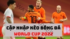world cup 2022